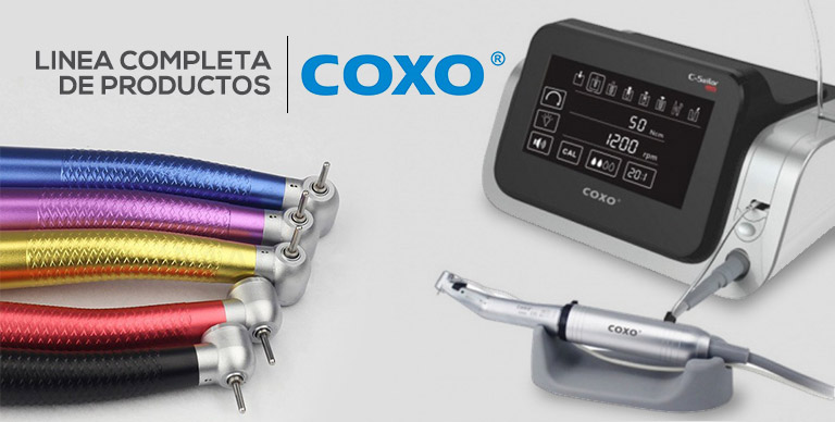 Linea coxo